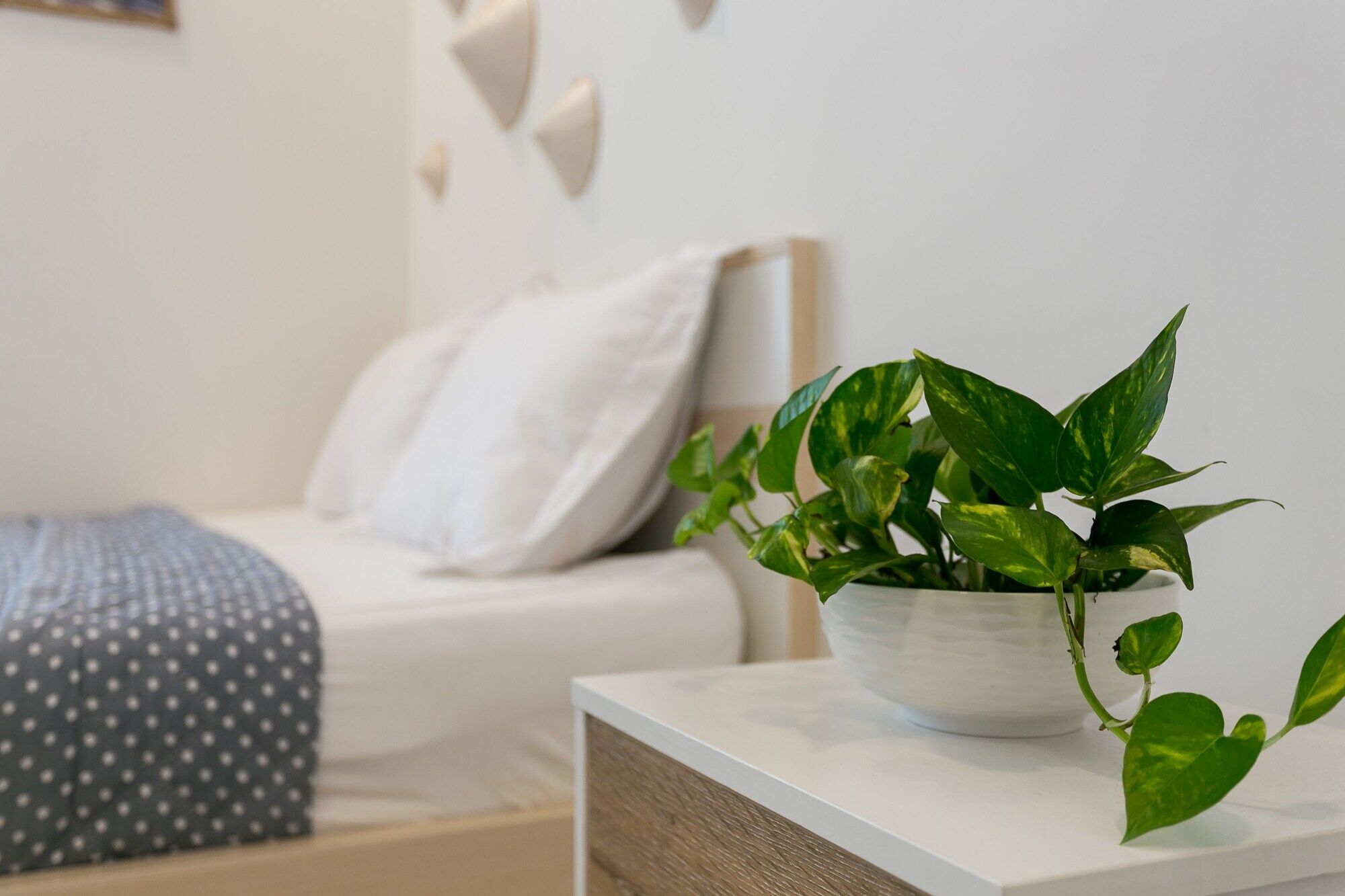 Appartement Macy *